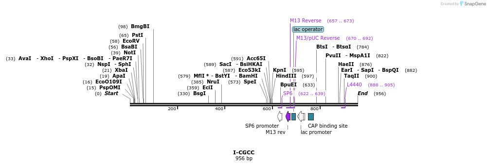 60432_map