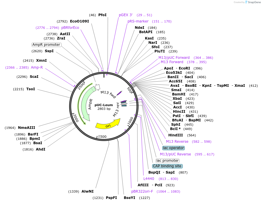 44364-plasmid-map-sequence-id-60443