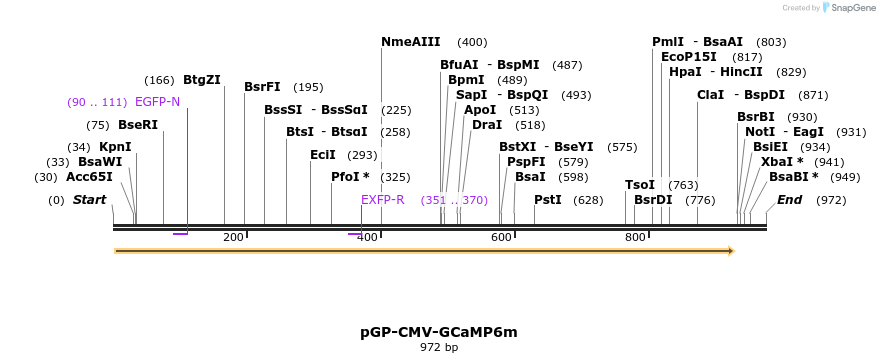 60456_map