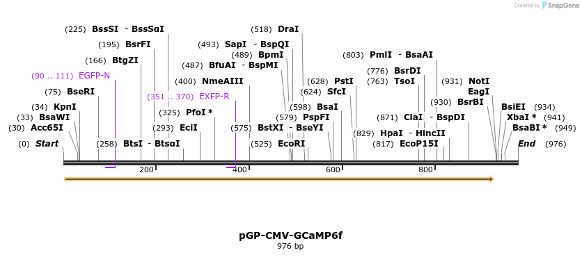 60463_map