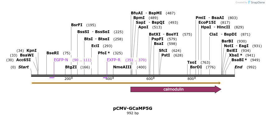 60464_map