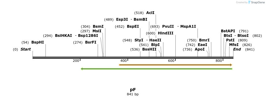 60481_map