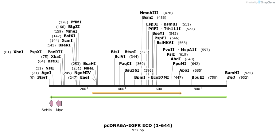 60488_map
