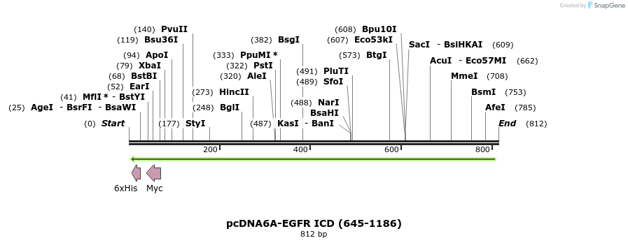60492_map