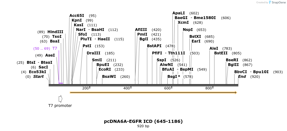60495_map