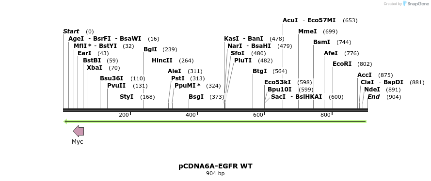 60496_map