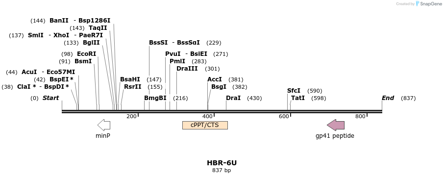60498_map
