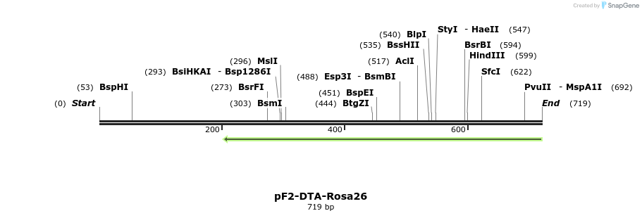 60501_map