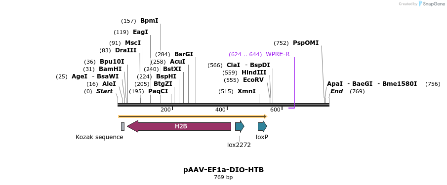 60502_map
