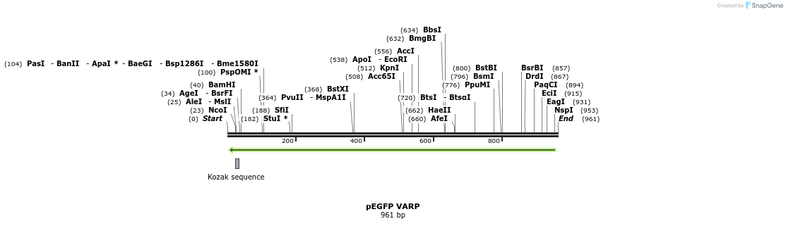 60503_map