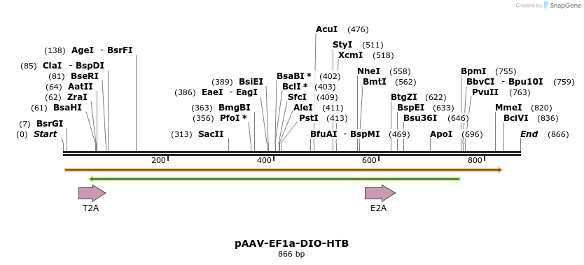 60505_map