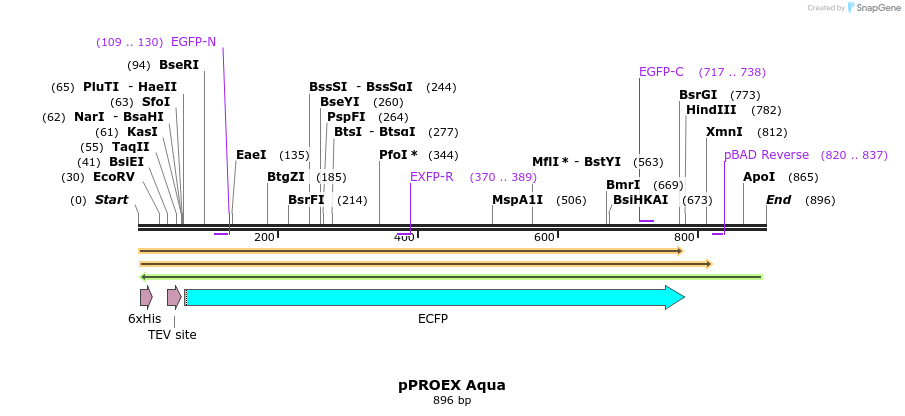 60512_map