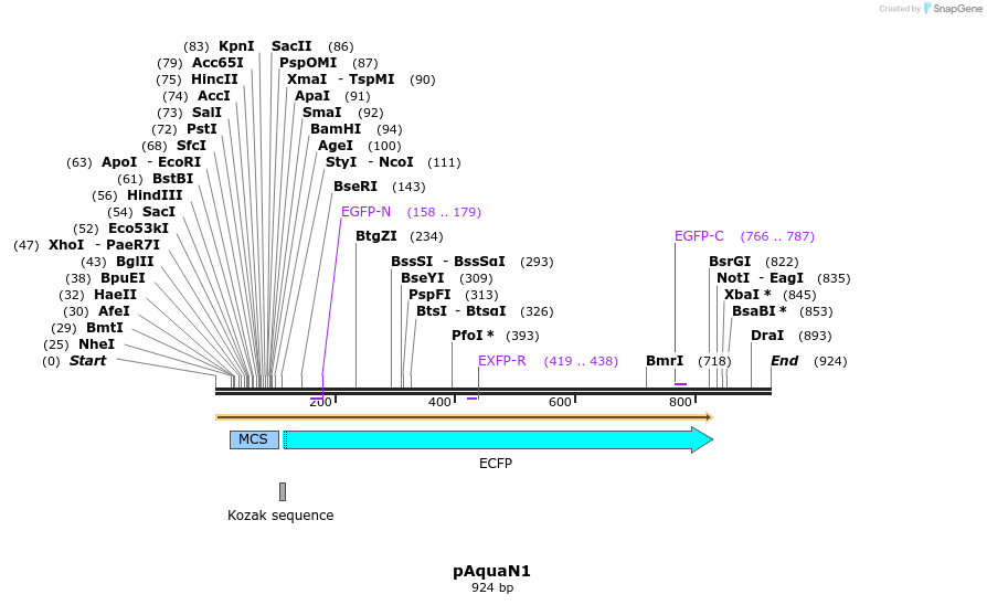 60513_map