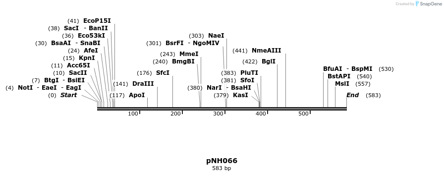 60523_map