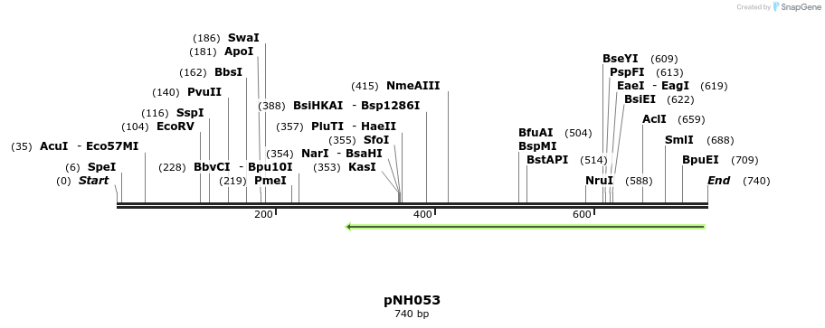 60528_map