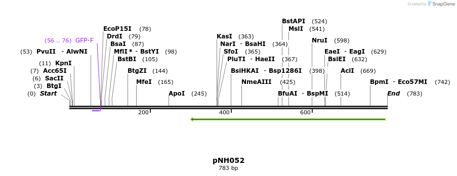 60532_map