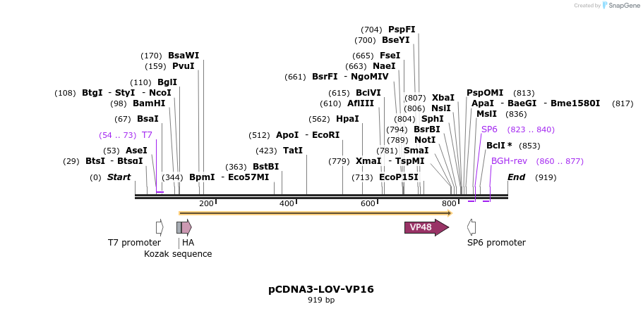 60534_map