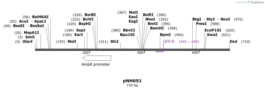 60537_map