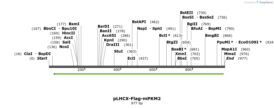 60539_map