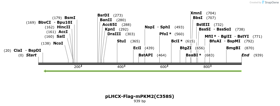 60542_map
