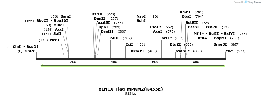 60545_map