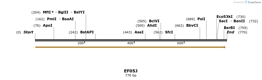 60548_map