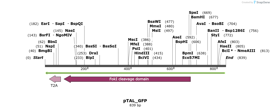 60551_map
