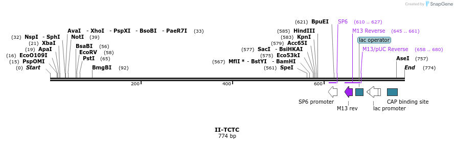 60556_map