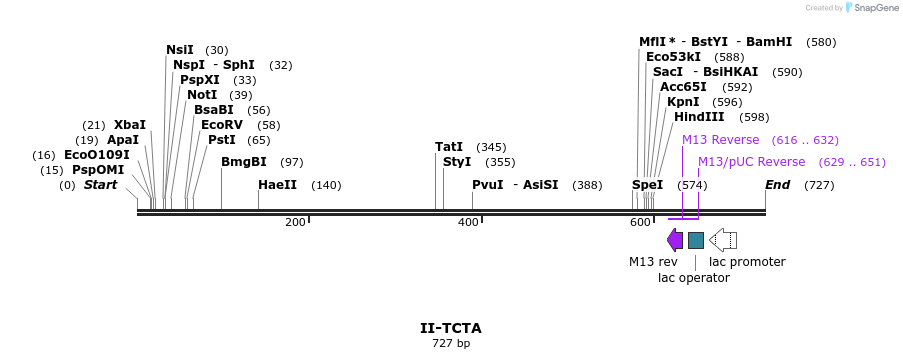 60557_map