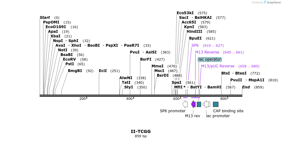 60559_map