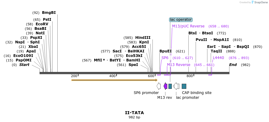 60574_map