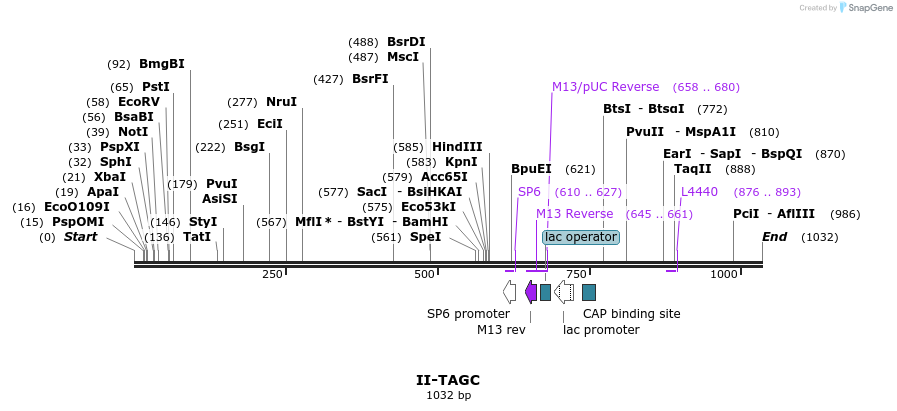 60577_map