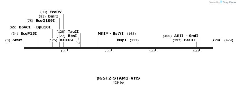 60583_map