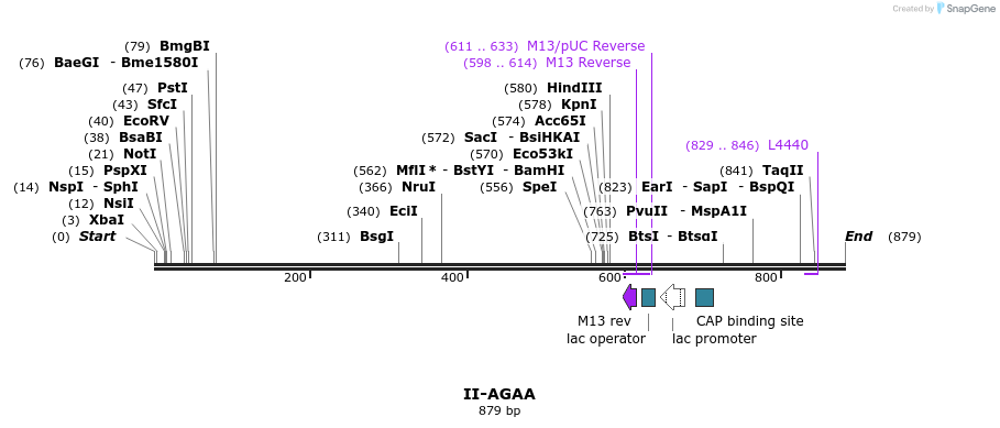 60589_map