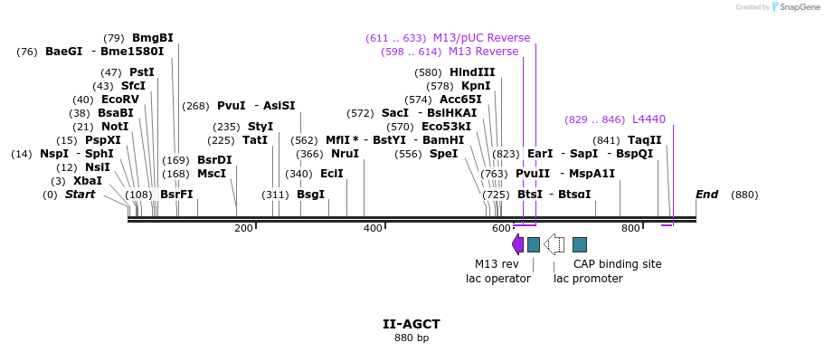 60595_map