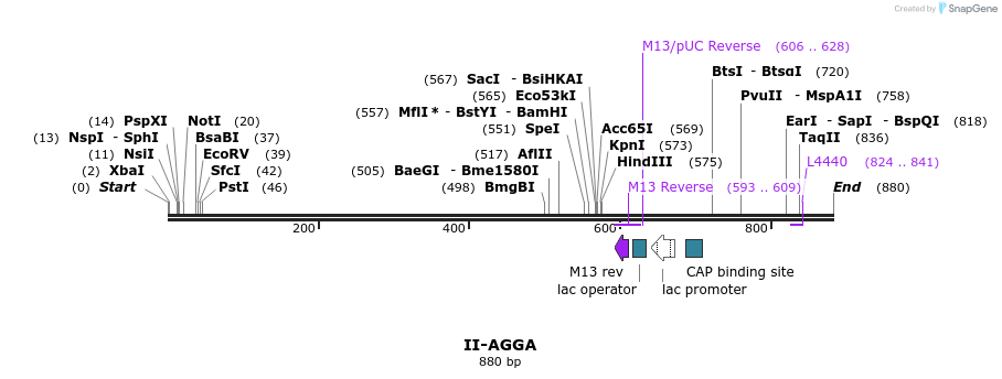 60597_map