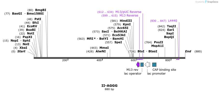 60599_map