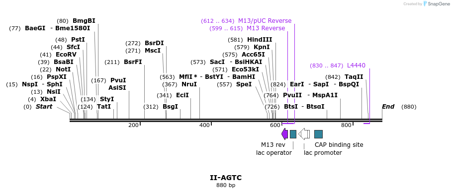 60602_map