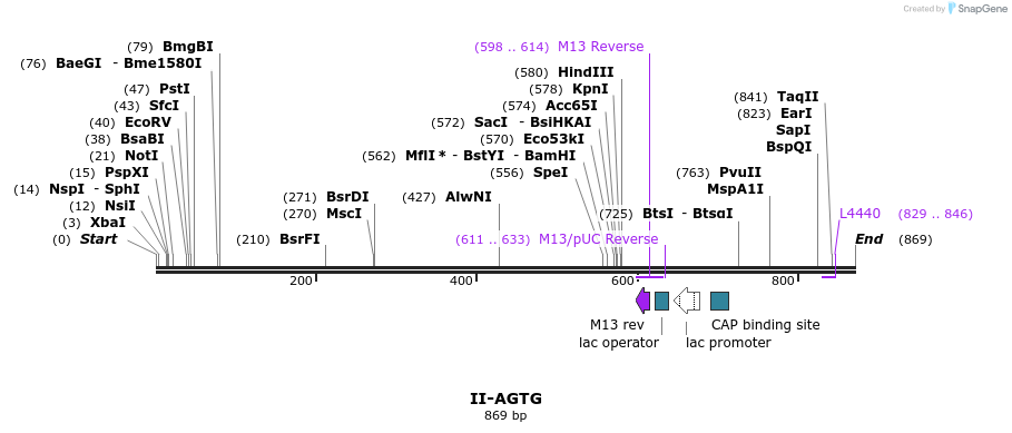 60603_map
