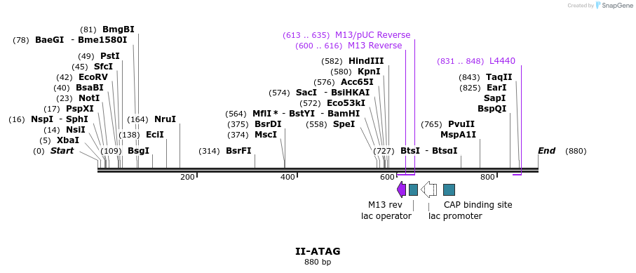 60607_map