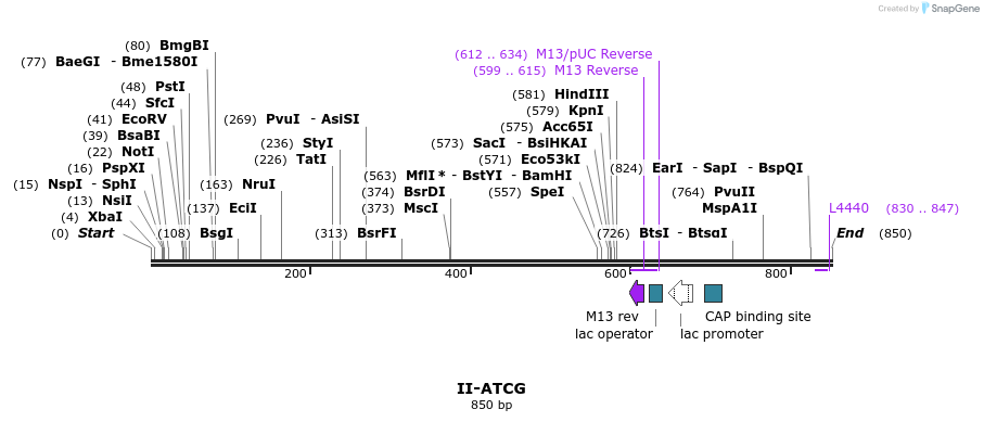 60613_map