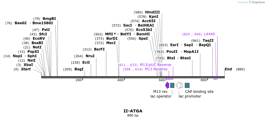 60616_map