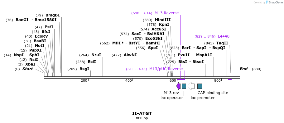 60621_map