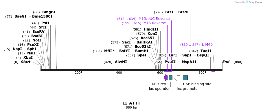 60626_map