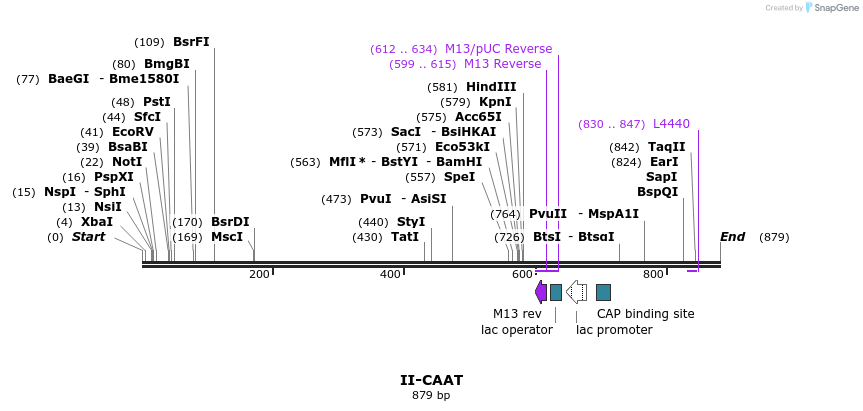 60634_map