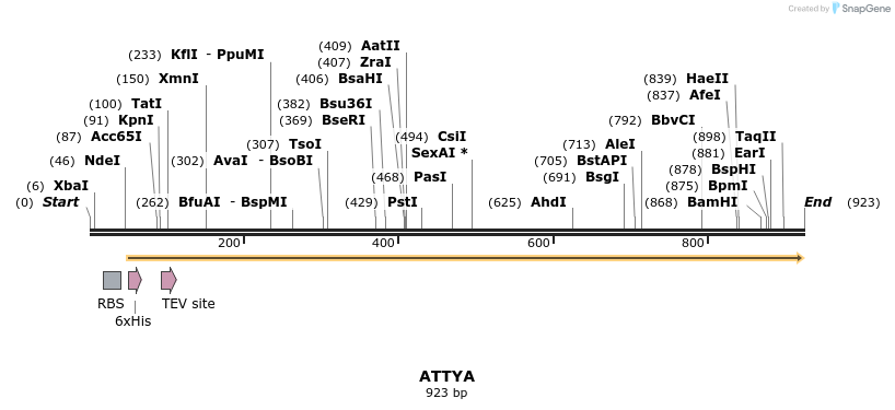 60666_map
