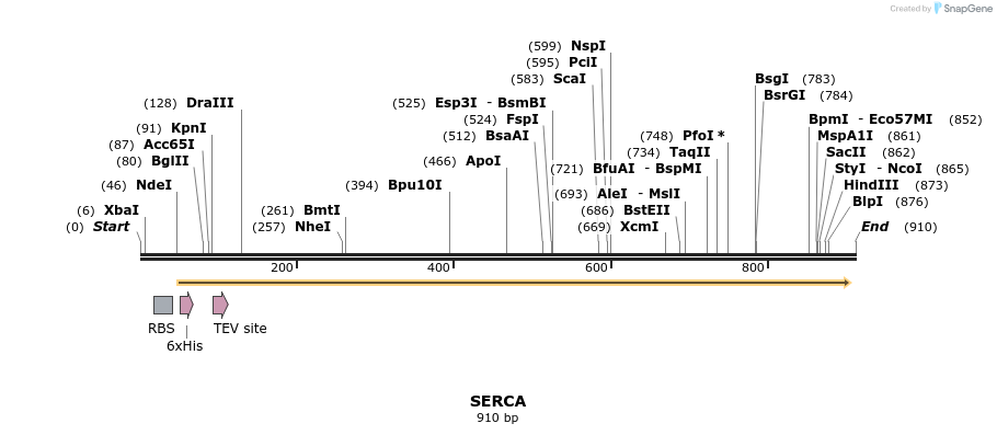 60667_map