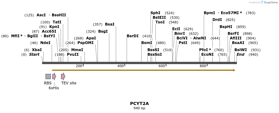 60669_map