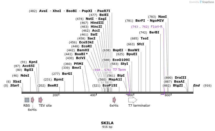 60678_map