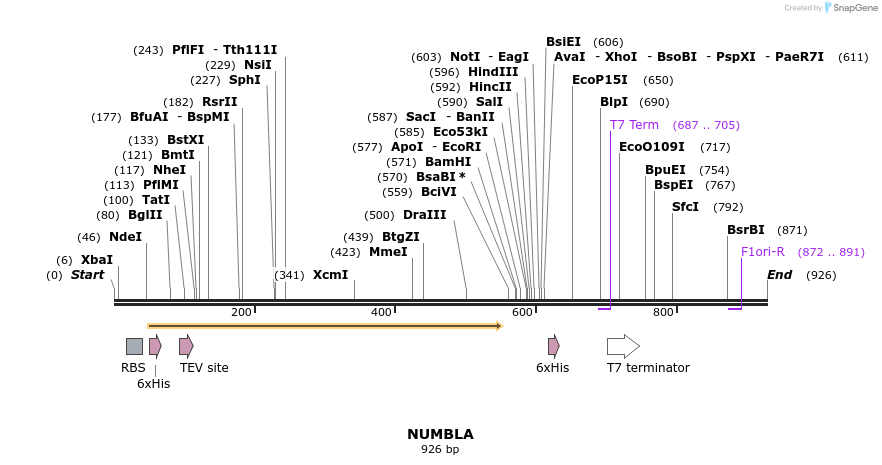 60680_map